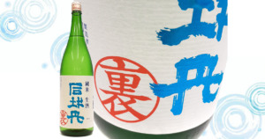 司牡丹「夏の生酒 裏バージョン」が入荷！