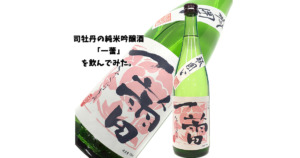 司牡丹酒造 限定 純米吟醸 一蕾 ひとつぼみ 日本酒 善波 酒屋 通販 ブログ