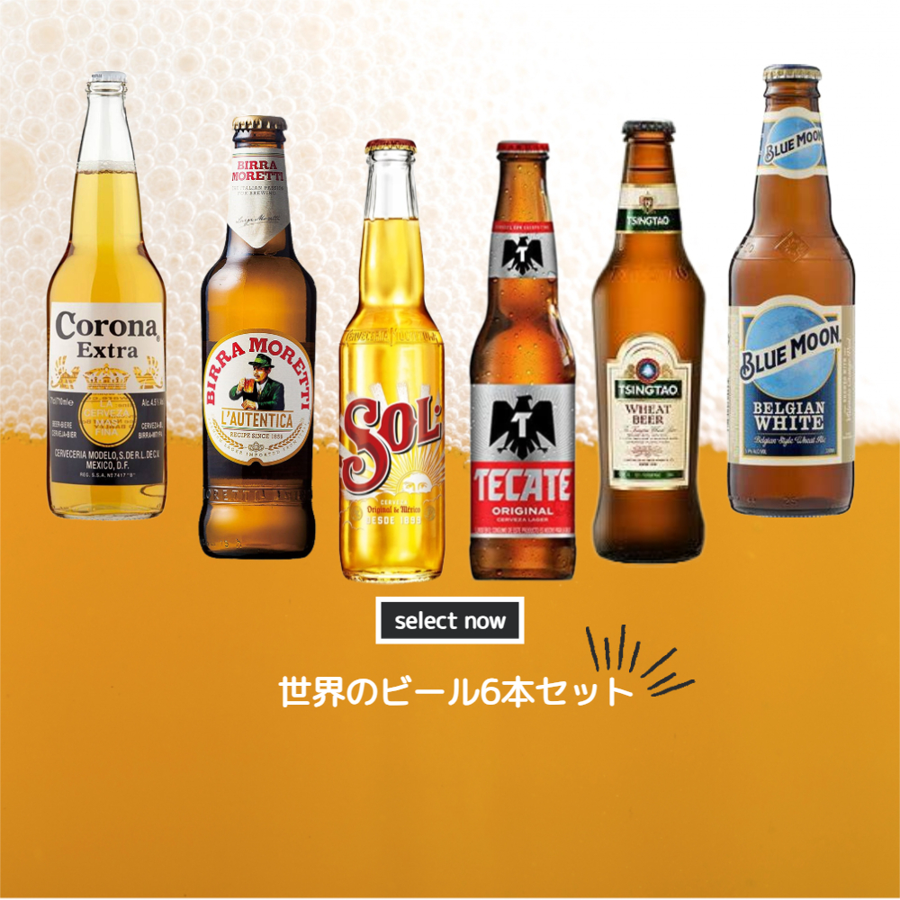 世界のビール6本セット